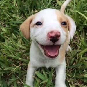 Meet your Posher, Katy